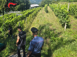 Caporalato, 14 aziende controllate e 5400 euro di multe